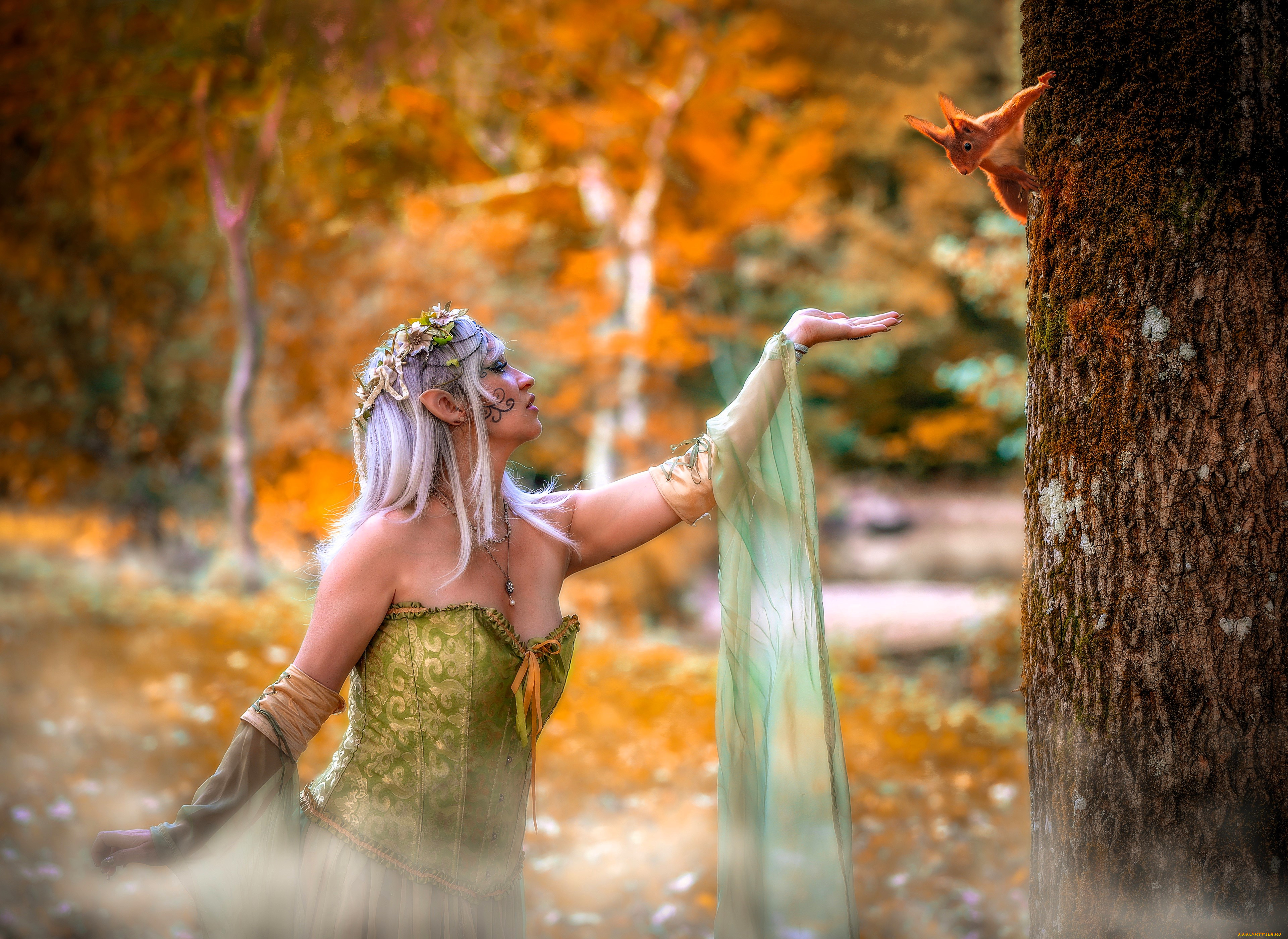 , - ,  , , , , , , , , , , 